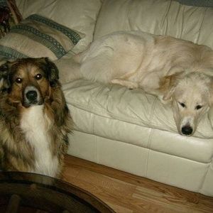 Meet your Posher, Sandra kitt